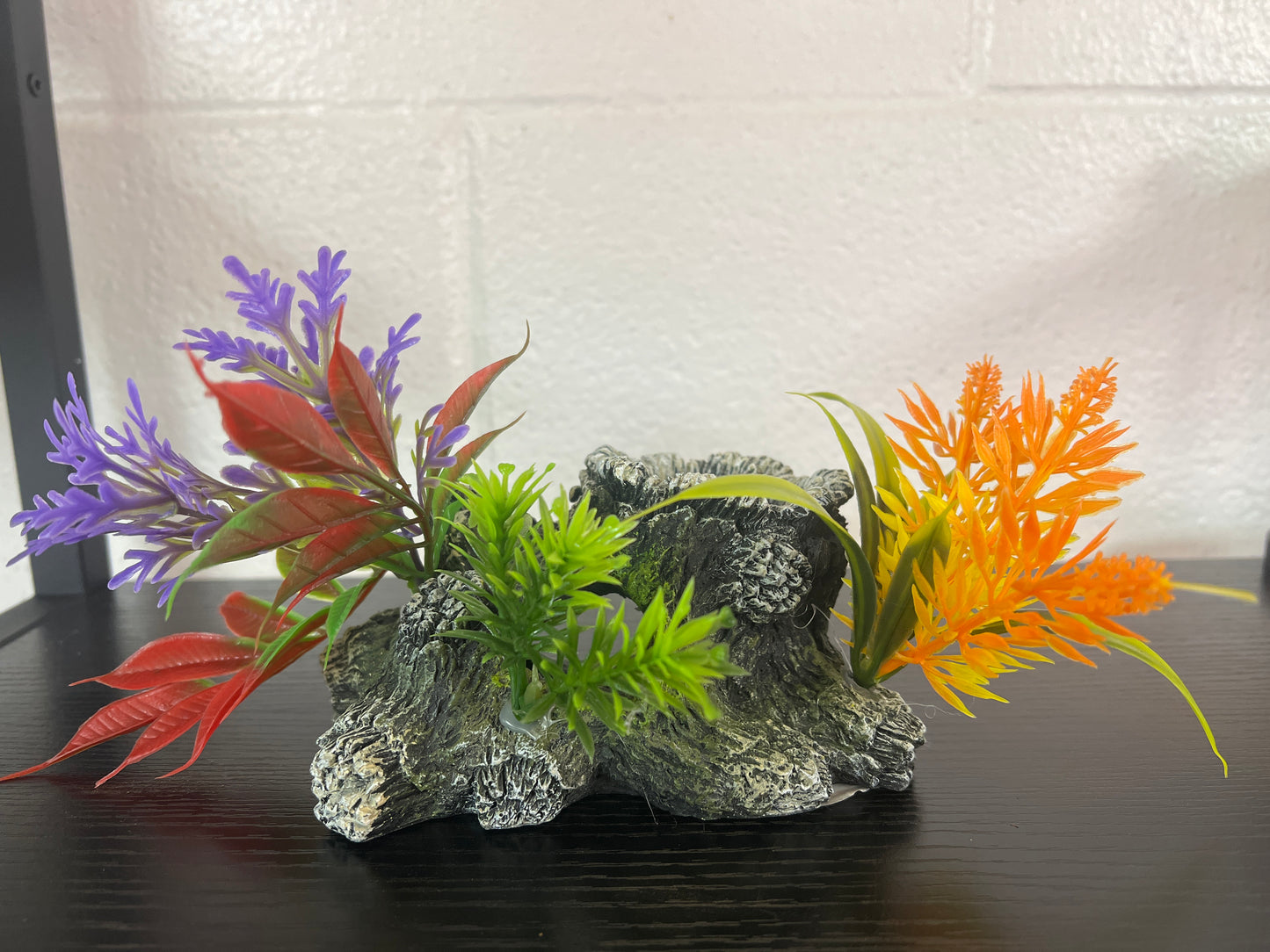 Tree stump with plants small