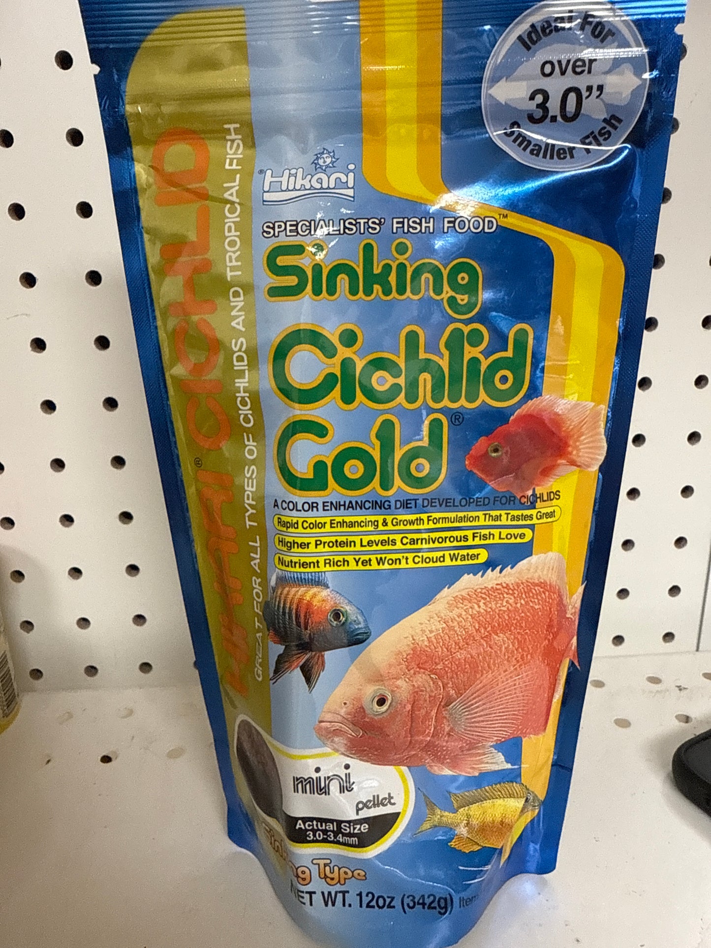 Hikari cichlid gold