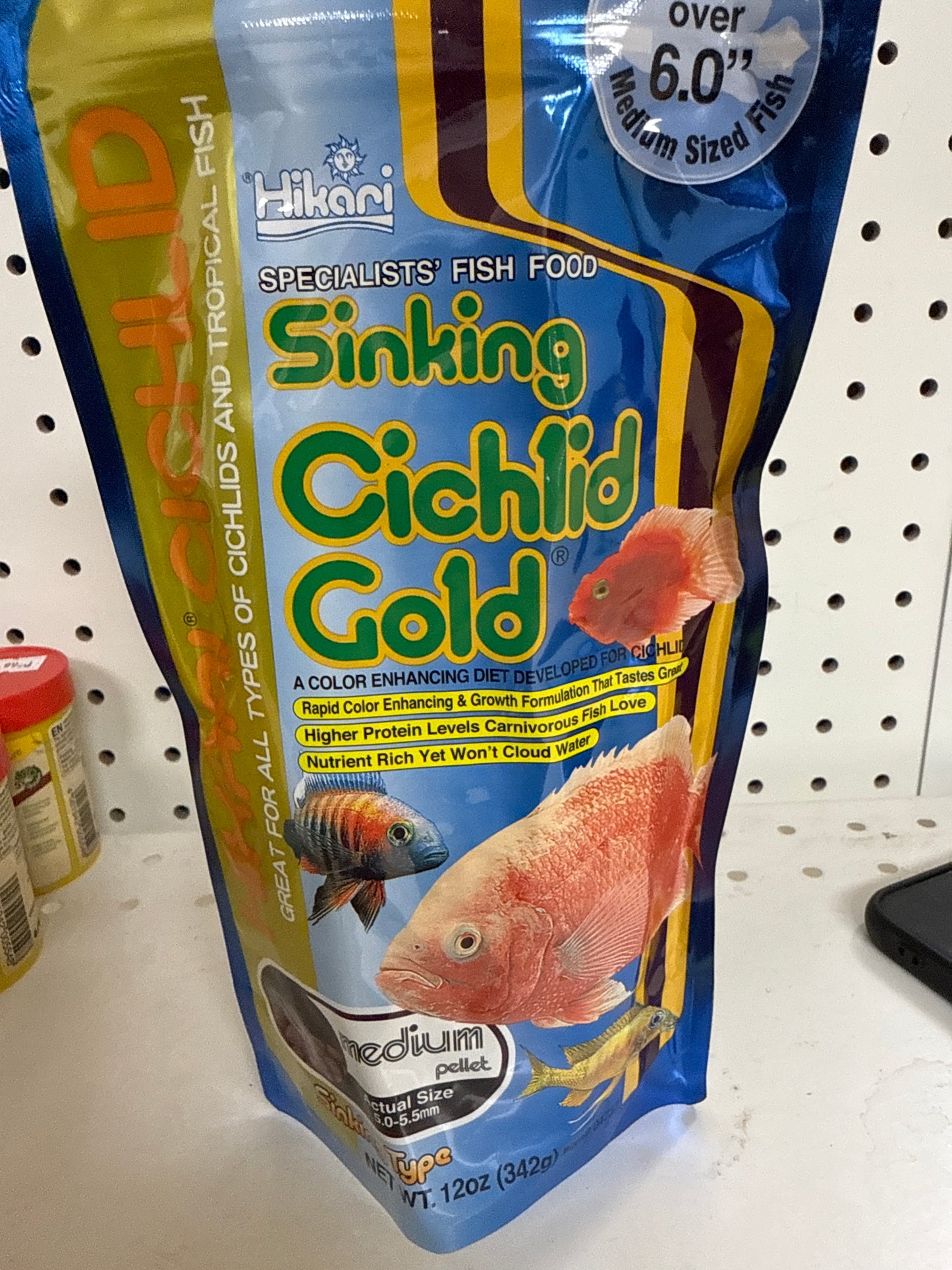Hikari cichlid gold