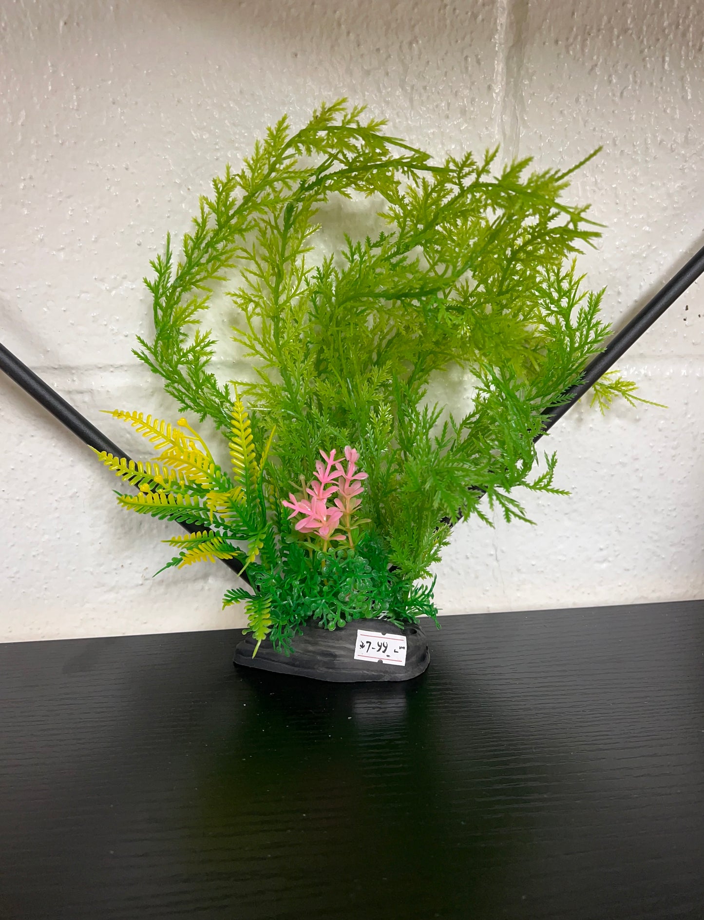 Green plant plastic with pink