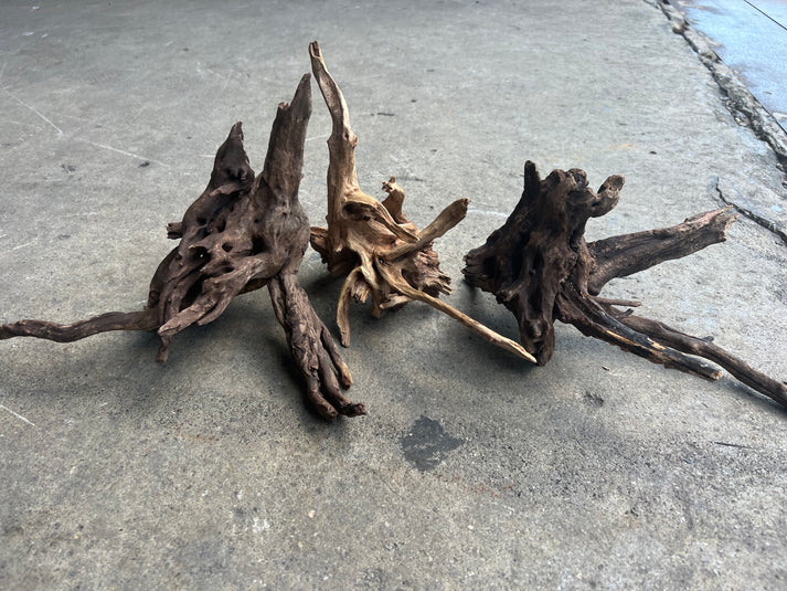 Driftwood