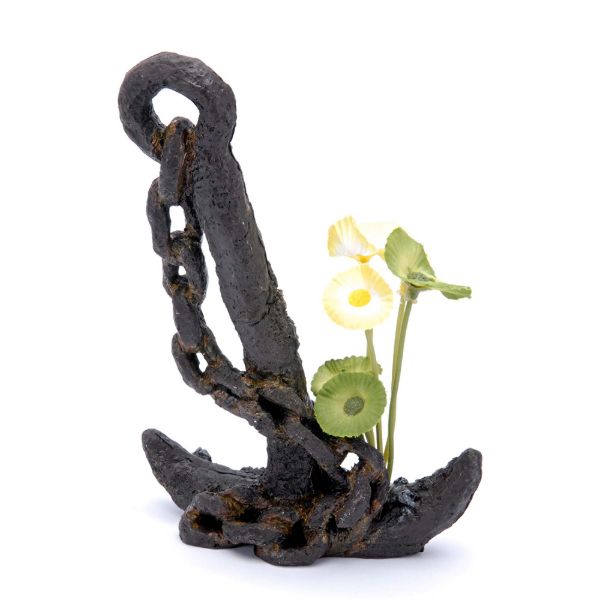Anchor medium
