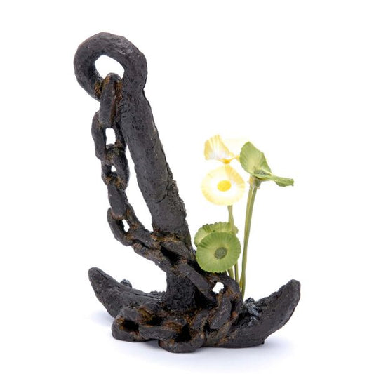 Anchor medium