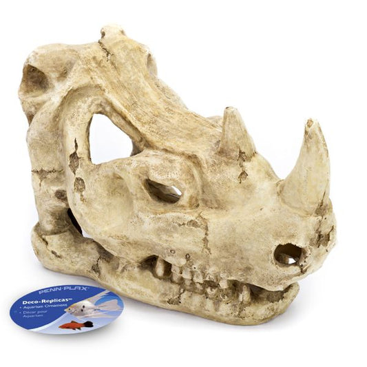 Rhino skull medium