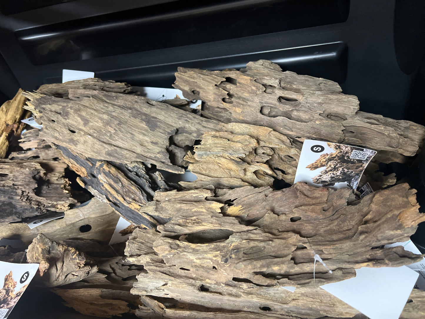 Dragon wood small