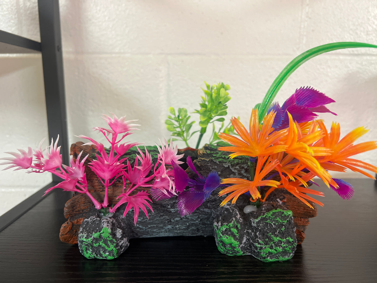 Log with plants medium