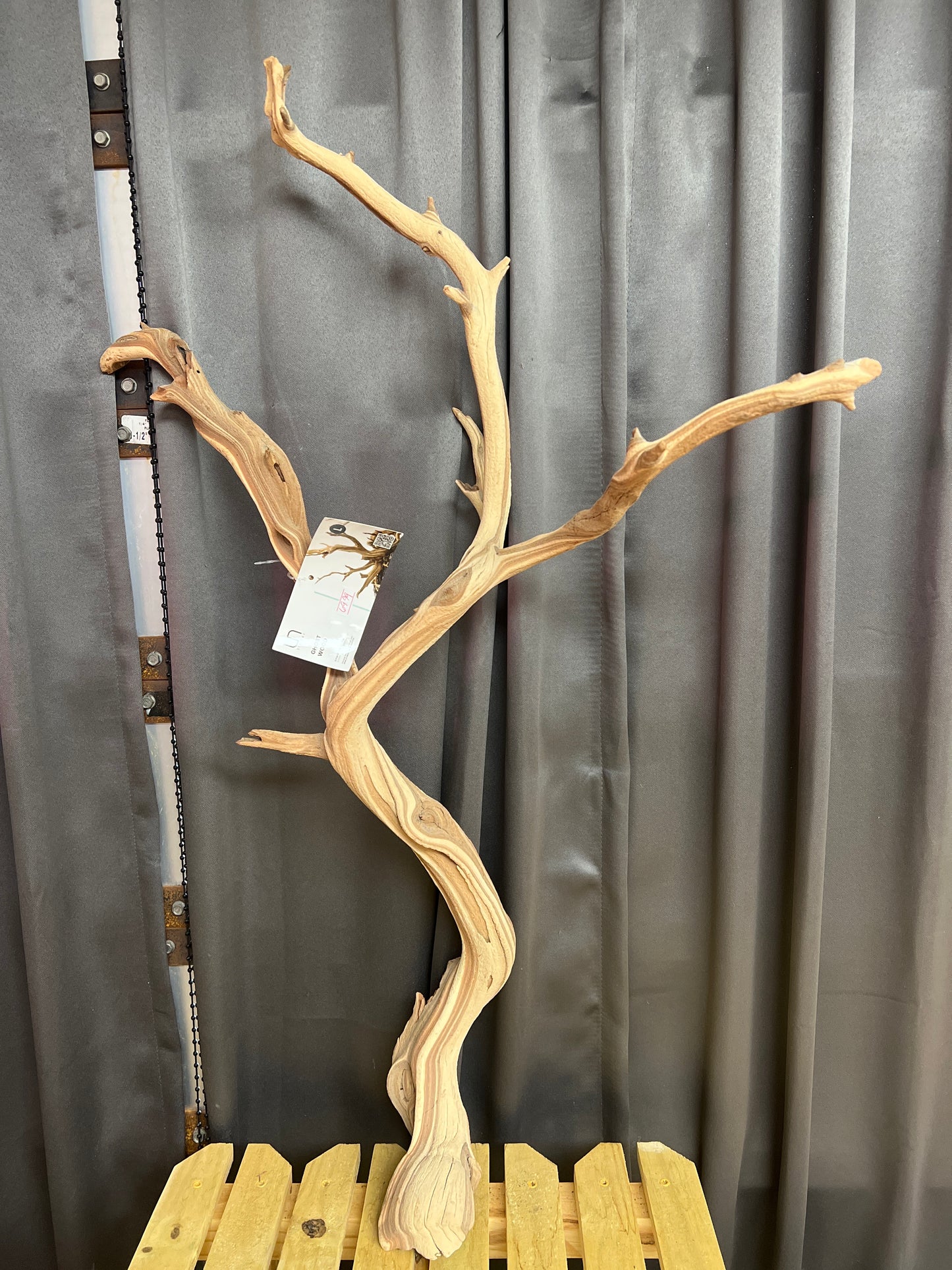 Ghost wood 18-24”