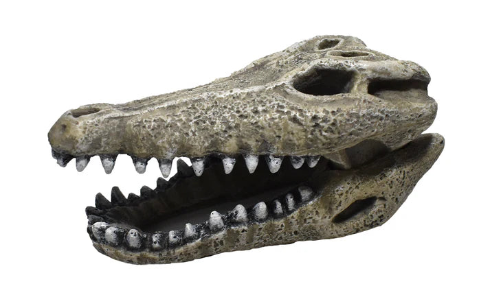 Gator Skull Resin Ornament 2"