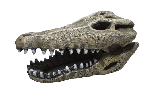 Gator Skull Resin Ornament 2"