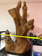 Xxl Malaysian driftwood 33”x22x10