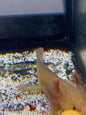 Copper Axolotl