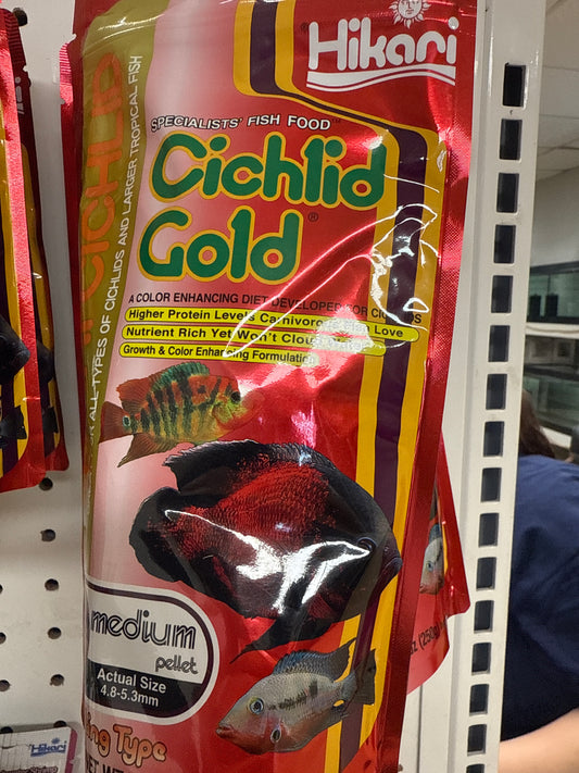 Hikari cichlid gold