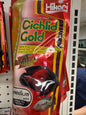 Hikari cichlid gold