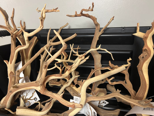 Ghost wood medium