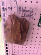 Almond Leaves