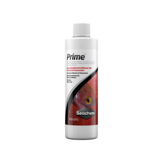 Prime 16.9 oz