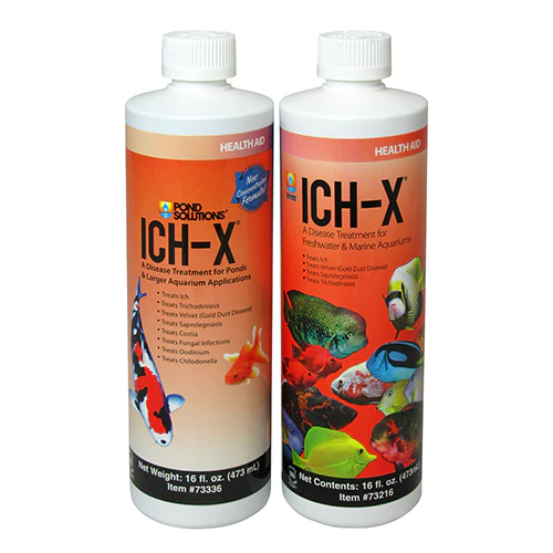 Ich-X® Water Treatment 16oz