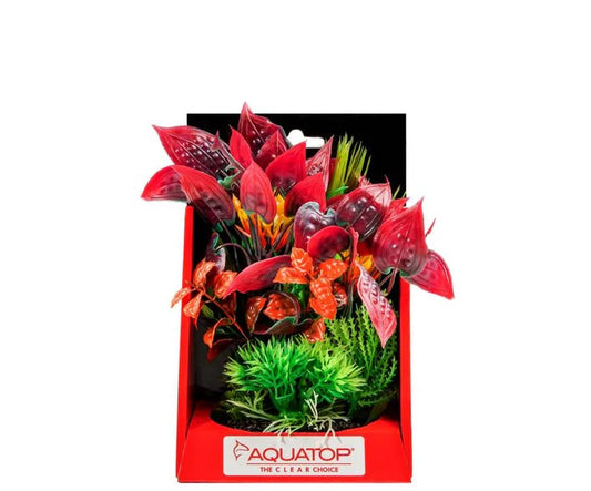 Vibrant Wild Mixed Red Plant 6"