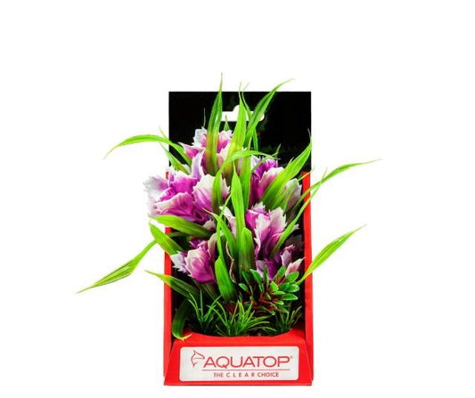 Vibrant Garden Violet Plant 6"